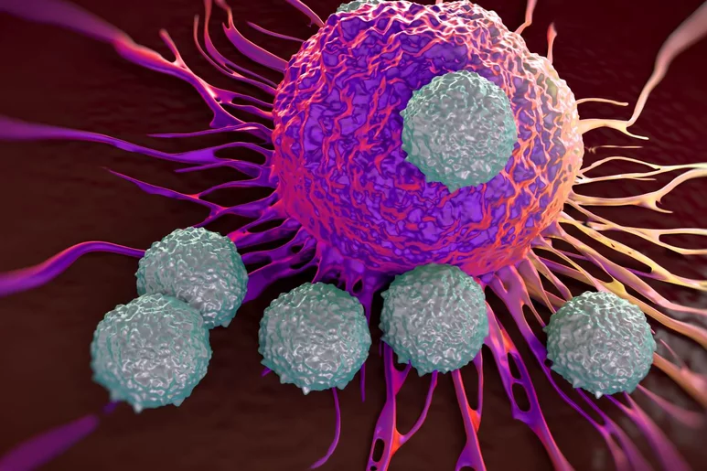 Linfocitos T atacan una célula tumoral. Foto: SHUTTERSTOCK.