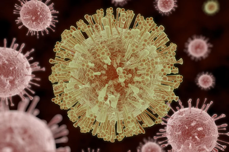 El virus del zika se ensaya en neuroblastoma infantil. Foto. SHUTTERSTOCK. 
