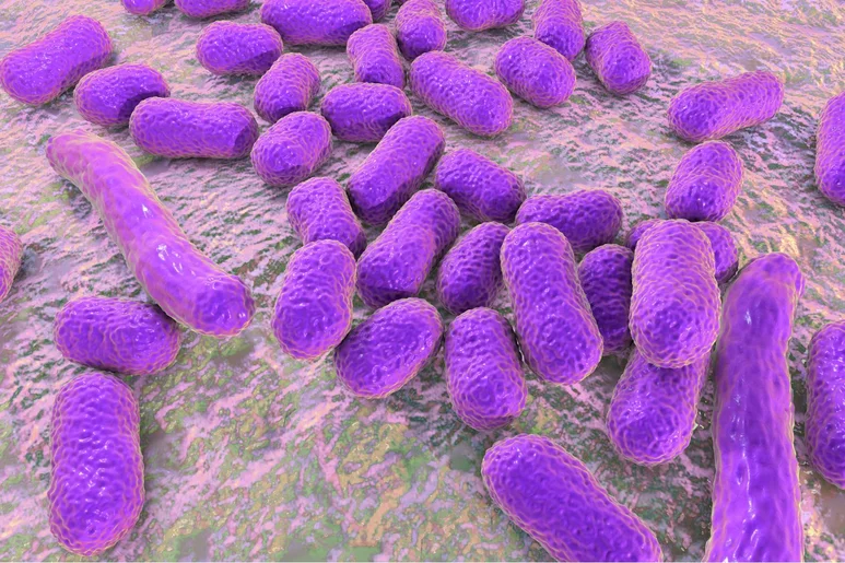 Acinetobacter baumannii constituye una importante amenaza para la salud pública mundial. Foto: SUTTERSTOCK. 